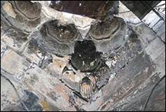 Une image contenant objet d�ext�rieur

Description g�n�r�e automatiquement