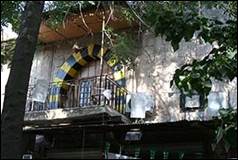 Une image contenant arbre, ext�rieur

Description g�n�r�e automatiquement
