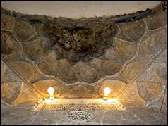 Une image contenant reptile, tortue

Description g�n�r�e automatiquement
