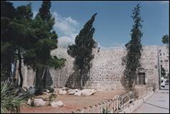 Une image contenant arbre, ext�rieur, ciel, terrain

Description g�n�r�e automatiquement