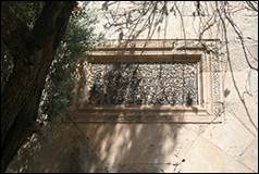 Une image contenant arbre, ext�rieur, pierre

Description g�n�r�e automatiquement