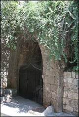 Une image contenant arbre, ext�rieur, pierre

Description g�n�r�e automatiquement