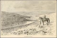 Une image contenant plein air, sol, mammifre, mule

Description gnre automatiquement