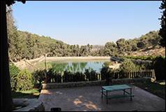 Une image contenant plein air, ciel, arbre, plante

Description g�n�r�e automatiquement