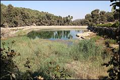 Une image contenant plein air, eau, plante, ciel

Description g�n�r�e automatiquement