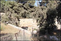 Une image contenant plein air, arbre, ciel, Communaut� v�g�tale

Description g�n�r�e automatiquement