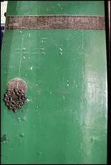 Une image contenant vert, plein air

Description g�n�r�e automatiquement