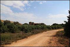 Une image contenant plein air, ciel, nuage, arbre

Description g�n�r�e automatiquement
