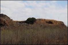 Une image contenant plein air, nature, ciel, herbe

Description g�n�r�e automatiquement