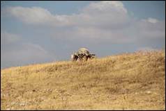 Une image contenant plein air, herbe, ciel, mammif�re

Description g�n�r�e automatiquement