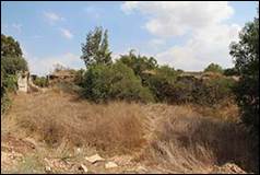 Une image contenant plein air, herbe, ciel, arbre

Description g�n�r�e automatiquement
