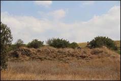 Une image contenant herbe, plein air, ciel, terrain

Description g�n�r�e automatiquement