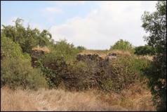 Une image contenant plein air, arbre, ciel, herbe

Description g�n�r�e automatiquement