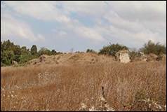 Une image contenant plein air, herbe, ciel, terrain

Description g�n�r�e automatiquement
