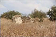 Une image contenant herbe, plein air, ciel, terrain

Description g�n�r�e automatiquement