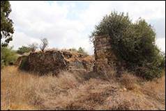 Une image contenant herbe, plein air, ciel, arbre

Description g�n�r�e automatiquement