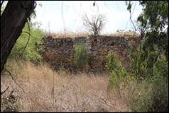Une image contenant herbe, plein air, arbre, mammif�re

Description g�n�r�e automatiquement