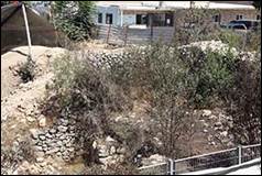 Une image contenant plein air, plante, arbre, sol

Description g�n�r�e automatiquement