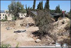 Une image contenant plein air, sol, arbre, plante

Description gnre automatiquement