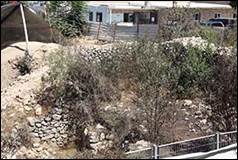 Une image contenant plein air, plante, arbre, sol

Description gnre automatiquement