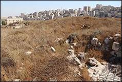 Une image contenant herbe, plein air, ciel

Description gnre automatiquement