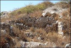 Une image contenant plein air, ciel, herbe, plante

Description gnre automatiquement