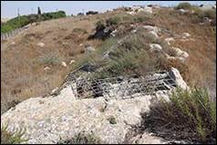 Une image contenant plein air, herbe, ciel, rocher

Description gnre automatiquement