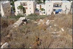 Une image contenant herbe, plein air

Description gnre automatiquement