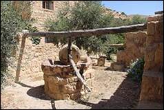 Une image contenant plein air, Ruines, plante, sol

Description gnre automatiquement