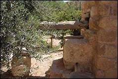 Une image contenant plein air, arbre, plante, Ruines

Description gnre automatiquement